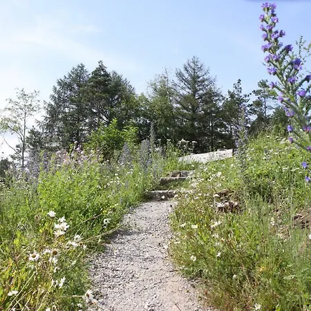 Famos Schlafen Варбург