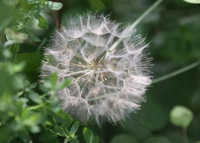 Famos Schlafen * Warburg